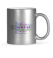 BK Gift Kişiye Özel Sosyal Bilgiler Öğretmeni Gümüş Yaldızlı Kupa Bardak  1