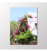 Arty Tablo Bodrum Evleri Tablo (Karışık)