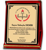 Kaşeciniz Plaket Logolu Plaket