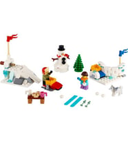LEGO Seasonal 40424 Winter Snowball Fight