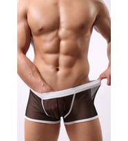 Merry See Erkek Siyah Beyaz Transparan Boxer (Çok Renkli)