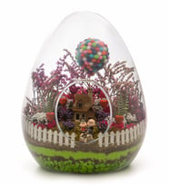 Teraryum Yukarıya Bak