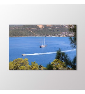 Arty Tablo Torba Koyu, Bodrum Tablo (Karışık)
