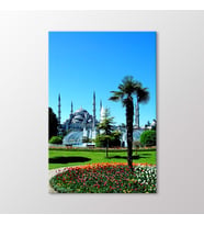 Arty Tablo Sultanahmet Camii Tablo (Karışık)
