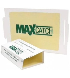 Catchmaster 72 Catch Max Fare 10 Adet Fare Yapışkanı Zehirsiz Etkili Fıstık Aromalı Fare Yapışkanı