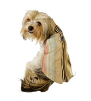 Stripe Orange Su itici Yağmurluk Köpek Yağmurluğu  (Karışık)