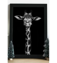 Zürafa Giraffe Ahşap 24x33 cm Tasarım Çerçeve
