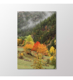 Arty Tablo Trabzon Tablo (Karışık)