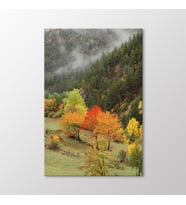 Arty Tablo Trabzon Tablo (Karışık)