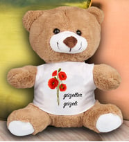 Güzeller Güzeli Temalı Peluş Ayıcık 23 Cm 82216