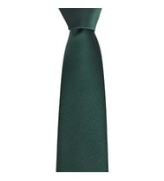 Brianze Yeşil Mendilli Kravat SMDK-25