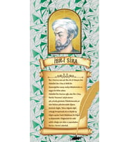 Ibni Sina Kapi Giydirme-176