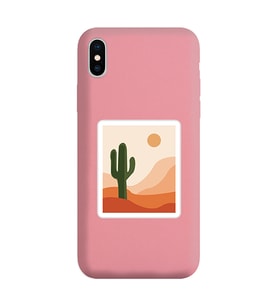 Pudra Lansman Telefon Kılıfı Iphone XS