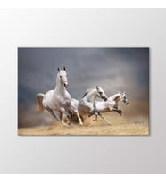 Arty Tablo Beyaz Atlar Tablo (Karışık)