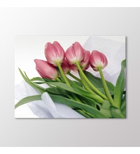 Arty Tablo Pembe Lale Buketi Tablo (Karışık)