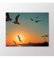 Arty Tablo Martılar ve İstanbul Tablo (Karışık)