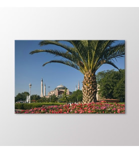 Arty Tablo Ayasofya Tablo (Karışık)