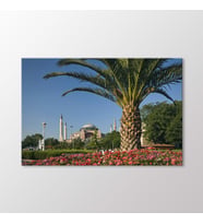 Arty Tablo Ayasofya Tablo (Karışık)