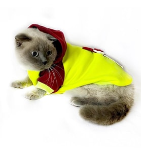 Bunny Bordo Fosfor Kapsonlu Sweatshirt Kedi Süeteri Kedi Kıyafeti 