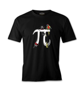 Matematik - Pi 4 Siyah Erkek Tshirt