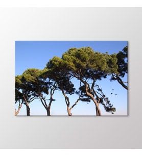 Arty Tablo Ağaçlar Tablo (Karışık)