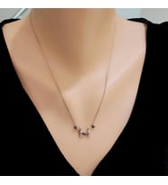 925 Ayar Rose Gümüş Sevgililer Günü Özel Kolye