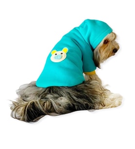 Blue Bear Kapşonlu Köpek  Sweat by Kemique  (Mavi)