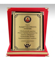 Kaşeciniz Plaket Logolu Plaket