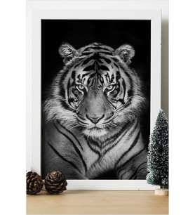 Kaplan Tiger Ahşap 24x33 cm Tasarım Çerçeve