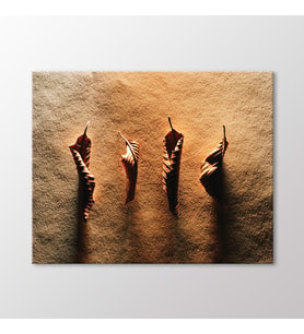 Arty Tablo Kurumuş Yapraklar Tablo (Karışık)