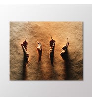 Arty Tablo Kurumuş Yapraklar Tablo (Karışık)