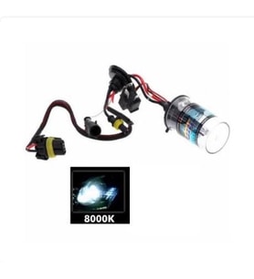 H1 Xenon 8000K Ampul 