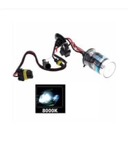 H1 Xenon 8000K Ampul 