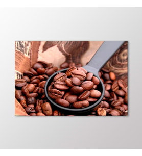 Arty Tablo Kahve Çekirdekleri Tablo (Karışık)