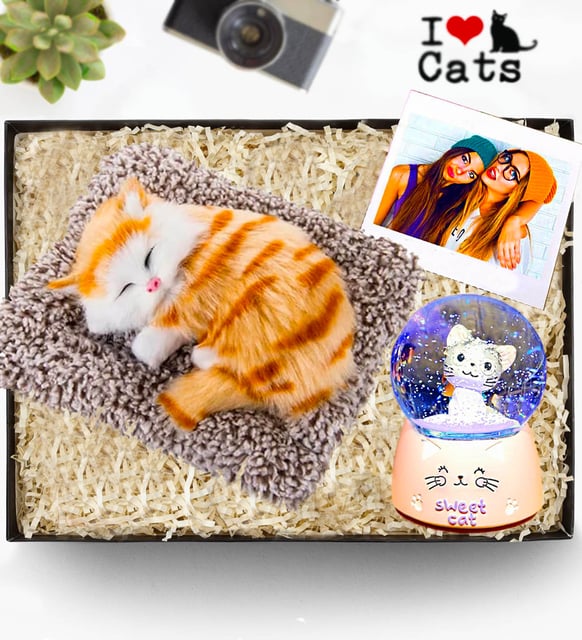 Kişiye Özel Fotoğraflı Sweet Cat Minderde Uyuyan Sesli Peluş Kedi & Kedi Kar Küresi