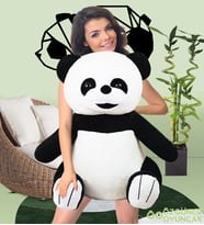 SEVİMLİ PANDA NO 3