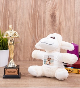 Sevgiliye Özel Oscar Ödülü ve Peluş Koyun
