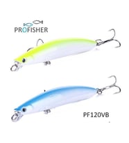 PROFISHER 2 Renk Set 2 Kanca Sahte Balık Yem 9 gr 9 cm B Luya