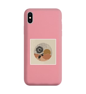 Pudra Lansman Telefon Kılıfı Iphone X