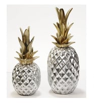 ANANAS BİBLO GÜMÜŞ