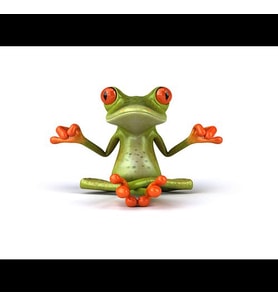 Yoga yapan Kurbağa Araba Oto Sticker Yapıştırma