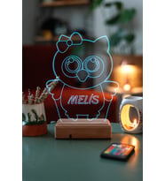 Sevgililer Günü Özel 3D Baykuş ve Kalp Masaüstü Led Lamba