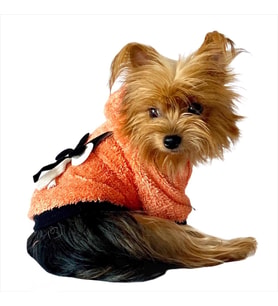 Orange Black Bunny Kapşonlu Sweat by Kemique Köpek Kazağı  (Turuncu)