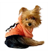 Orange Black Bunny Kapşonlu Sweat by Kemique Köpek Kazağı  (Turuncu)