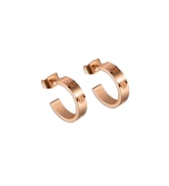 Chavin Vidalı Tasarım Bayan Çelik Küpe eh81 (Rose)
