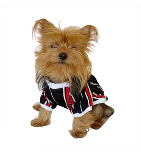 Black Red White Striped Oval Yaka Tişört Köpek Kıyafeti Köpek Elbisesi