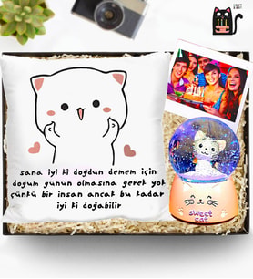 Kişiye Özel Doğum Günü Hediyesi İyi Ki Doğdun Kedi Yastık & Kedi Işıklı Kar Küresi