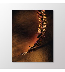 Arty Tablo Kuru Yaprak Tablo (Karışık)