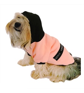 London Pineapple Kapşonlu Sweat by Kemique Köpek Kazağı  (Pembe)
