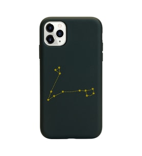 Balık Burcu (Peixes) Yıldız Haritası Tasarımlı Kılıf iPhone 11 Pro Max